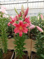 [3166 Sensi World B No01.JPG]